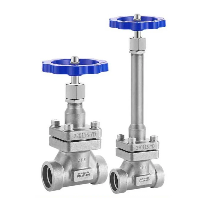 Cryogenic Globe Valve