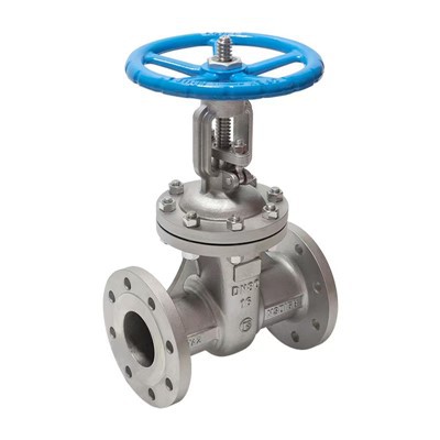 Katup gerbang titanium